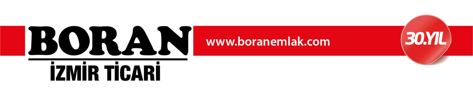 boran logo 30.y1l.jpg