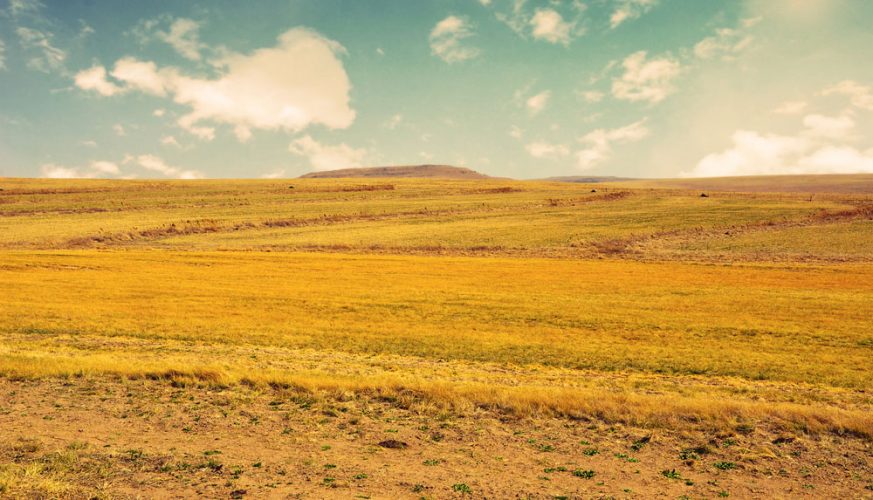 iZMİR MENDERES ANAYOL ÜZERİ 6200 M2 SATILIK TARLA