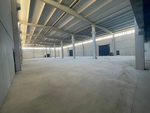 İZMİR TORBALI PANCAR BÖLGESİNDE KİRALIK 2500M2 FABRİKA BİNASI