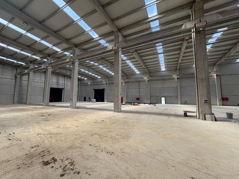 İZMİR MENDERES DEPOLAMA BÖLGESİNDE KİRALIK 2500m2 DEPO