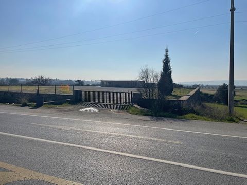 İZMİR AYDIN ASFALTI KİRALIK 3800M2 VİTRİN ARSA