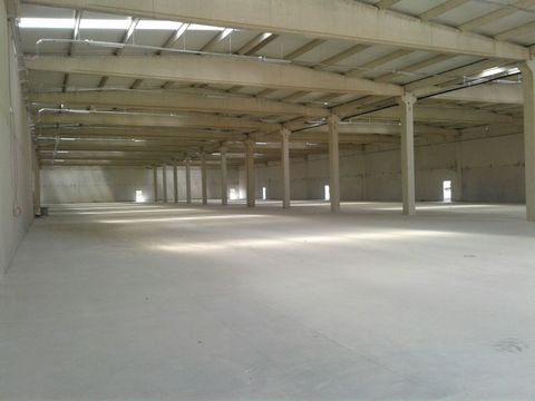 İZMİR TORBALI SANAYİ BÖLGESİNDE KİRALIK 15.000m2 DEPO/FABRİKA