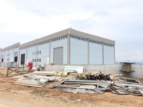 İZMİR TORBALI PANCAR DA SATILIK 3000M2 ARSADA 1500M2 DEPO/FABRİKA