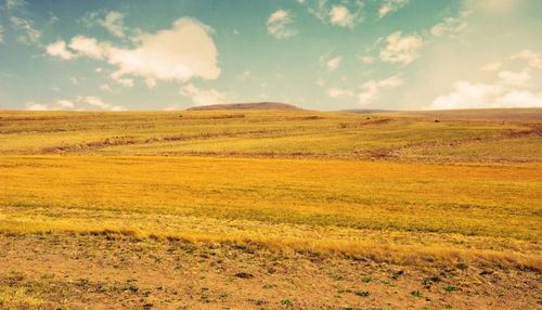 iZMİR MENDERES ANAYOL ÜZERİ 6200 M2 SATILIK TARLA