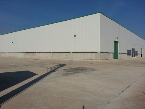 İZMİR Torbalı Ayrancılarda  kiralık 10.000m2 fabrika depo