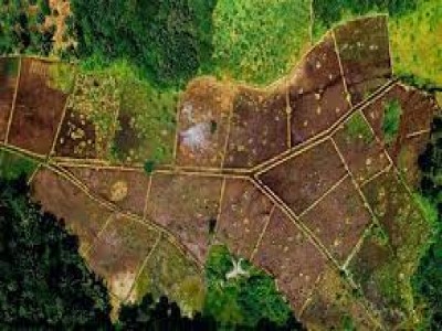ARSA YATIRIMI YAPARKEN DİKKAT EDİLMESİ GEREKENLER