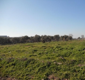 izmir gaziemir sarnıç sanayide havaalanı yakınında sanayi imarlı satılık 4400m2 arsa